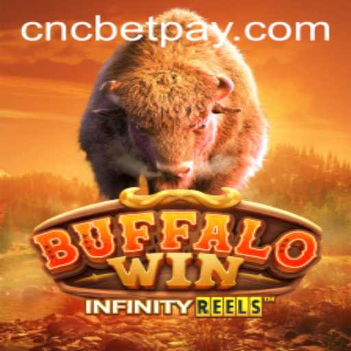 Discovering BuffaloWin: A Thrilling Casino Adventure with cncbet